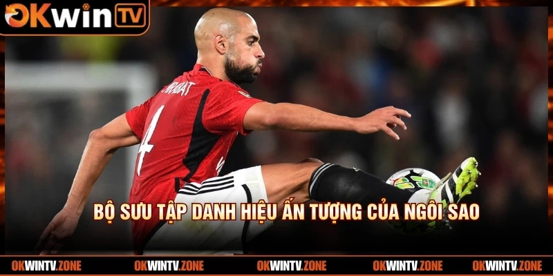 Bộ sưu tập danh hiệu ấn tượng của ngôi sao của The Ploughman