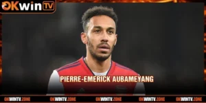 Tiểu Sử Pierre-Emerick Aubameyang - Sát Thủ Vòng Cấm Địa